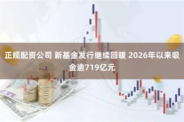 正规配资公司 新基金发行继续回暖 2026年以来吸金逾719亿元