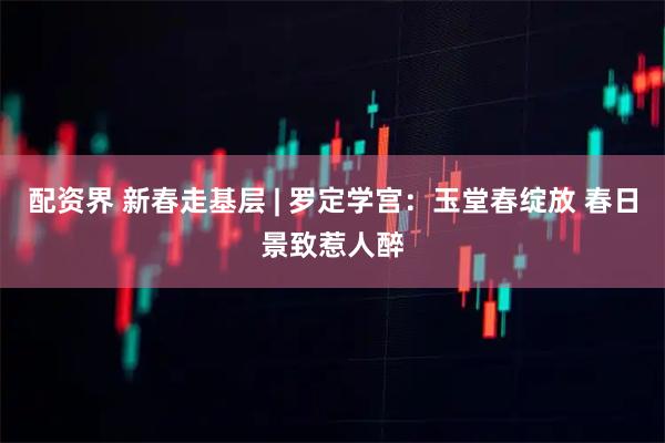 配资界 新春走基层 | 罗定学宫：玉堂春绽放 春日景致惹人醉