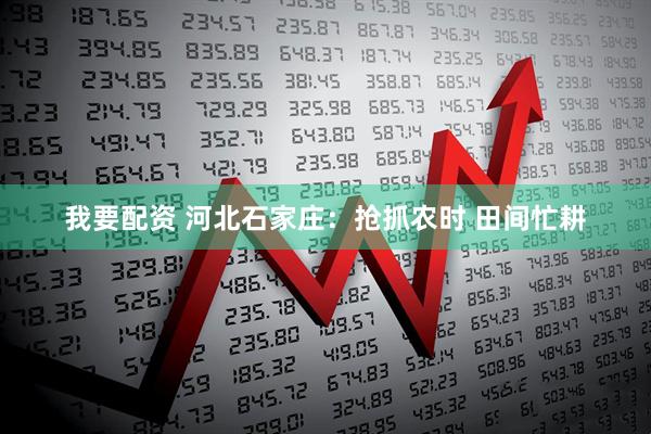 我要配资 河北石家庄：抢抓农时 田间忙耕